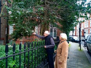 Walks outside of St. Teresa's care home