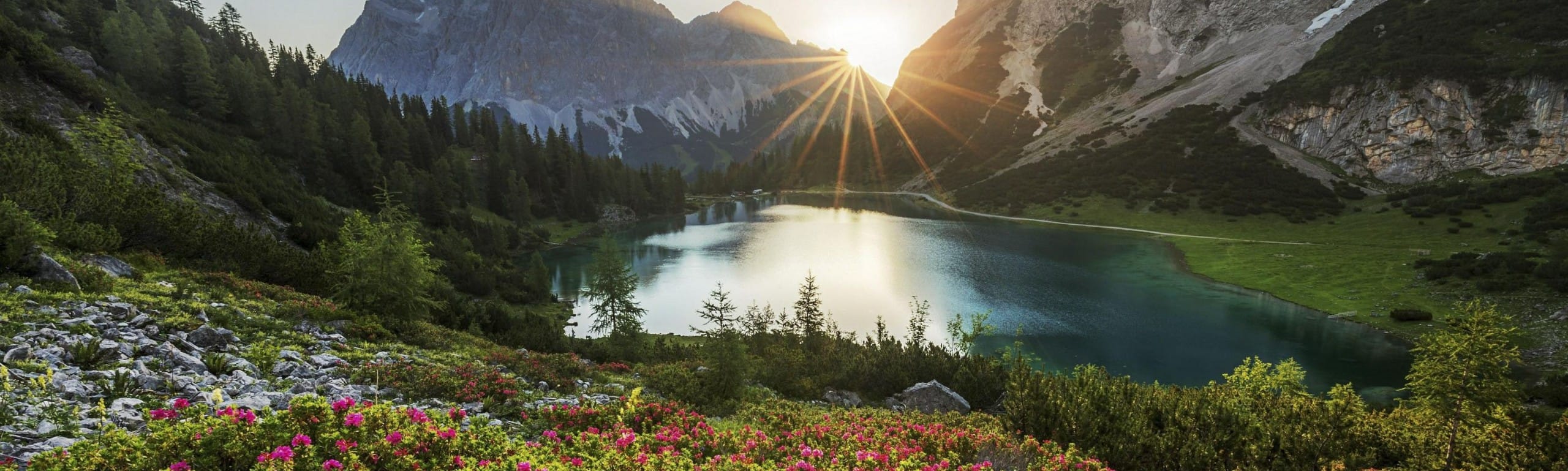 Landscape for Laudato Si' Week 2021
