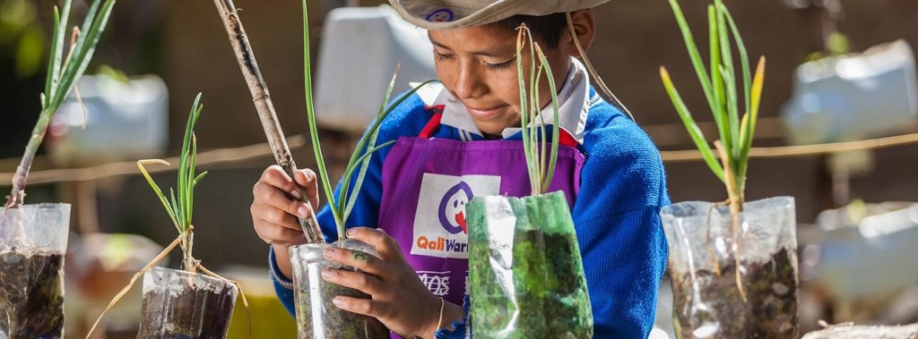 World Environment Day 2021 | Sisters Hospitallers