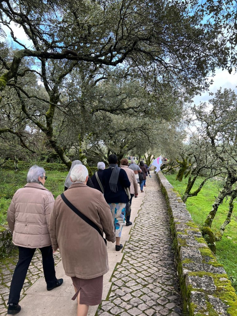 Sisters Hospitallers walking during the pilgrimage to Fatima during the Plenary Council